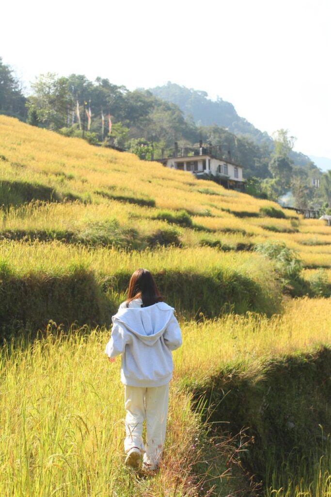 whatsapp image 2026 01 04 at 10.37.19 am