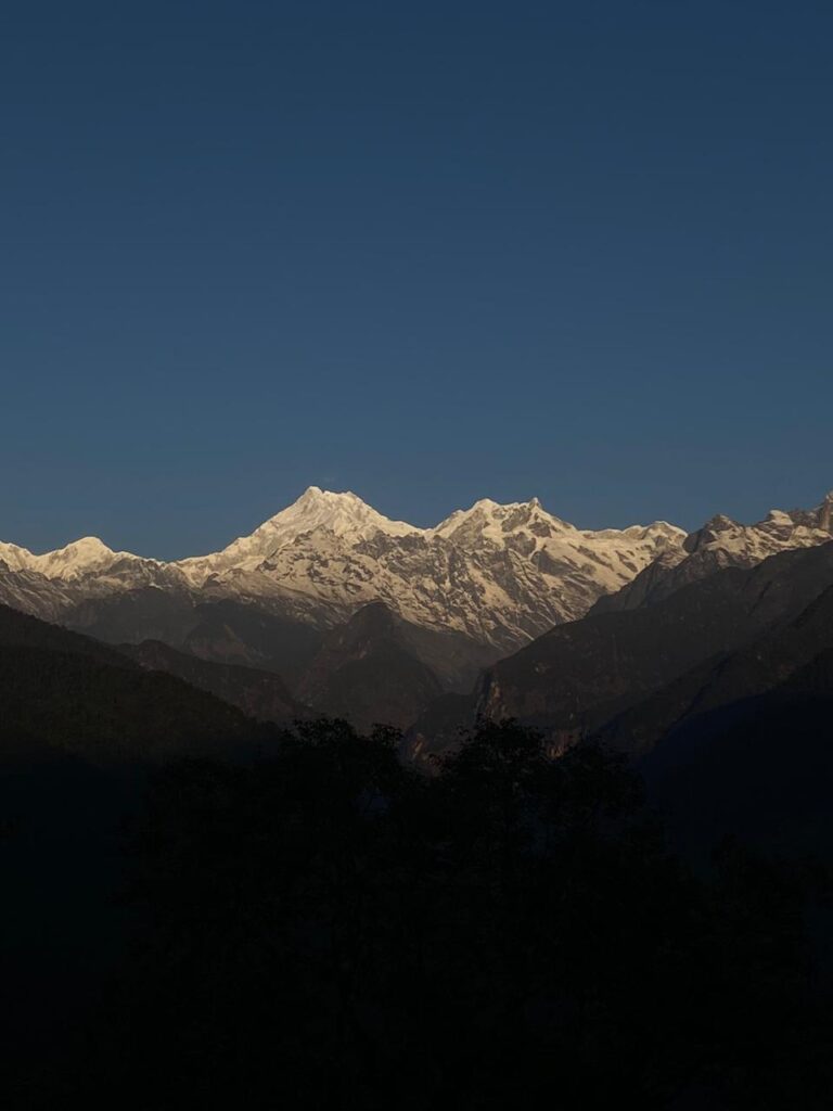 whatsapp image 2026 01 04 at 10.37.31 am